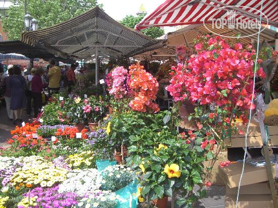 New photos from tourists Mercure Marche Aux Fleurs 4*