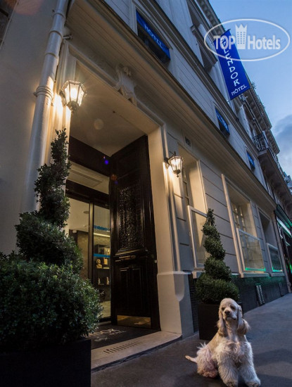 Hotelier's photos Splendor Elysees Hotel 3*