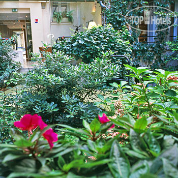 New photos from tourists Best Western Montcalm 3*
