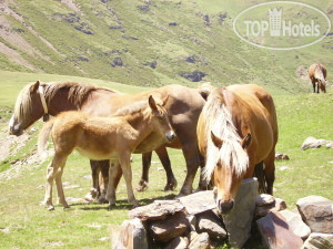New photos from tourists Residence VDA Les Cimes APT