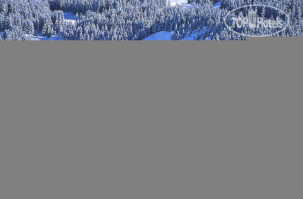 Новые добавленные фото туристов Agence Des Neiges