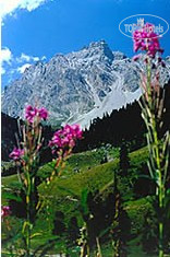 New photos from tourists La Tarentaise 3*