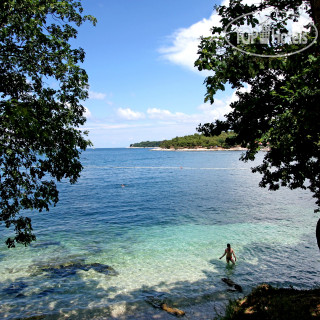 Фото Villa Galijot Plava Laguna