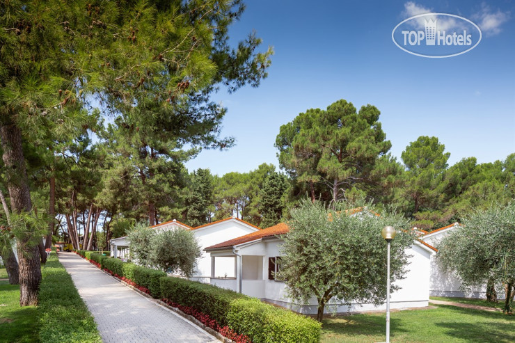 Photos Apartments Galijot Plava Laguna