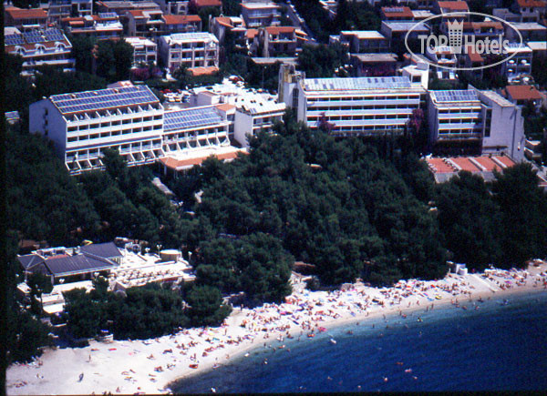 Фото Biokovka