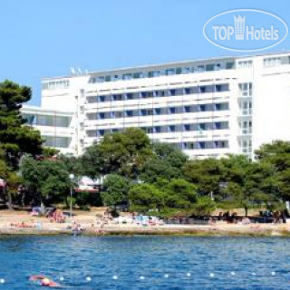 Фото Petrcane Pinija