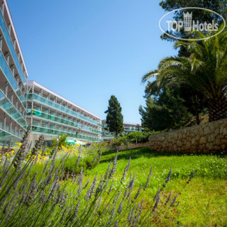 Фото Aurora Hotel