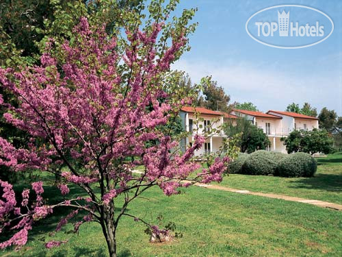 New photos from tourists Ai Pini APT