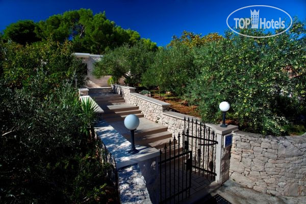 Hotelier's photos House Sara 3*