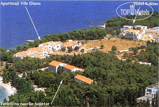 Hotelier's photos Villa Diana APT