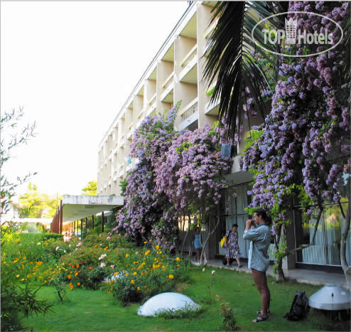 Hotelier's photos Alem 2*