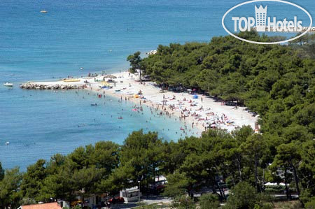 New photos from tourists Conte 4*