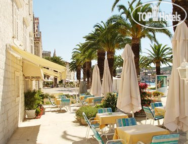 New photos from tourists Concordia 3*