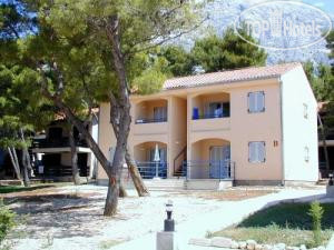 New photos from tourists Family Resort Urania 3*