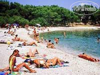 New photos from tourists Sentido Kaktus Resort 4*
