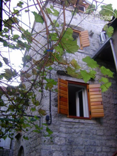 Hotel photo Villa Ivanka 3*