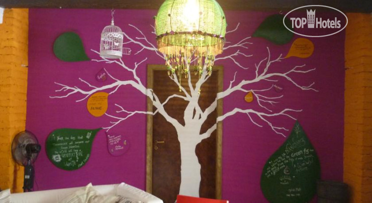 New photos from tourists The Wild Fig Hostel