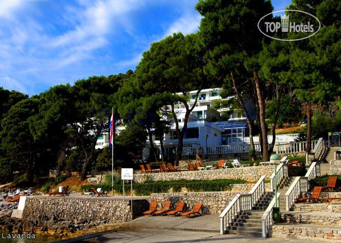 New photos from tourists Lavanda Zadar 3*