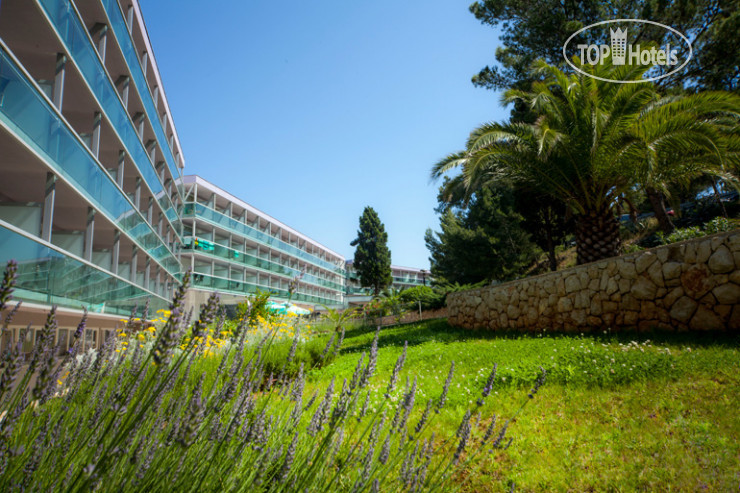 Новые добавленные фото туристов Aurora Hotel 4*