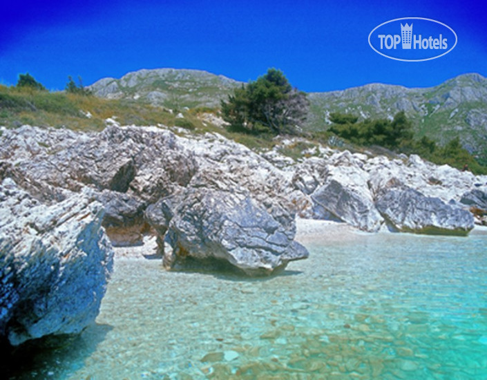 New photos from tourists Avangard Villa 4*