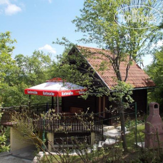 Photos Yellow Jajcevic