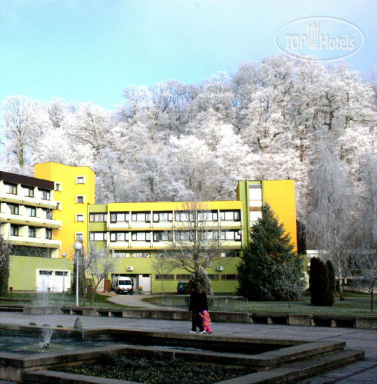 Hotel photo Top Terme 2*