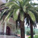 Фото Villa Monte Royale