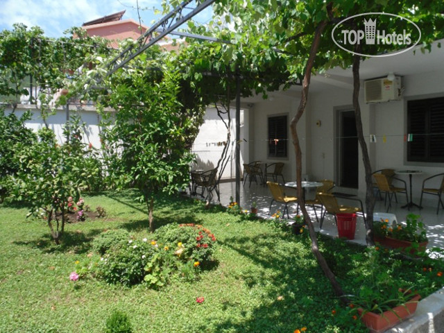 Photos Kivi Villa