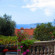Фото Villa Antonela