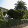 Photos Apartments Dunja