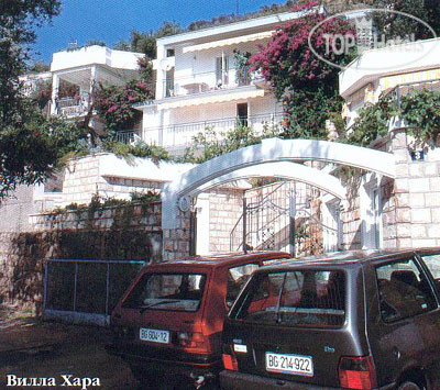 Hotelier's photos Sun Rose Apartments