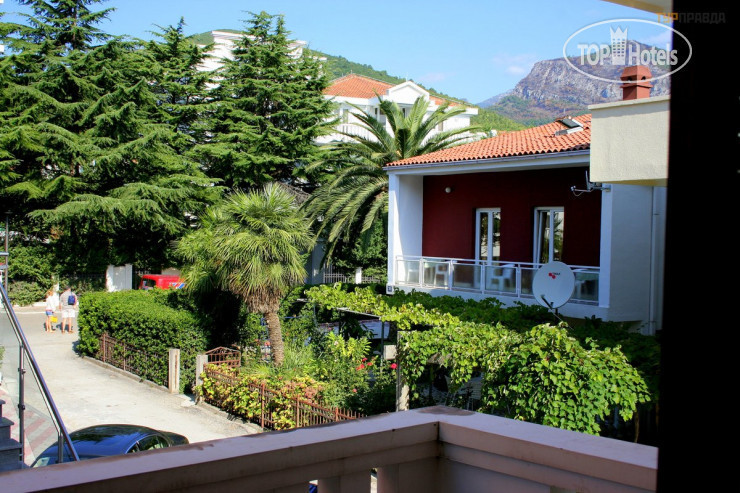 New photos from tourists Villa Dimic 3*