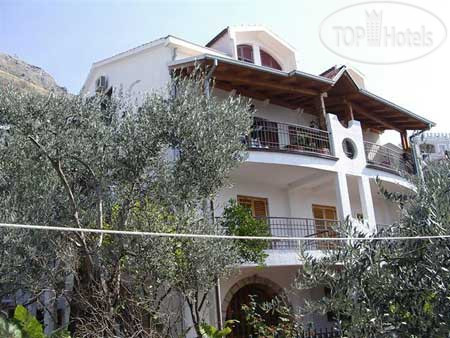 Hotel photo Villa Zivkovic 3*
