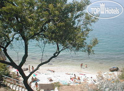 New photos from tourists Villa Ante 3*