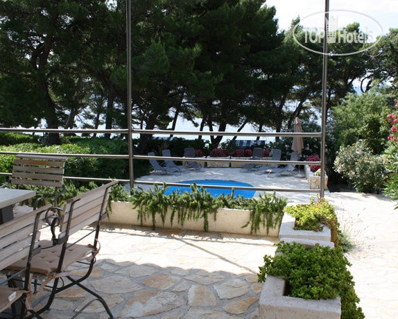 New photos from tourists Villa Tamara 3*