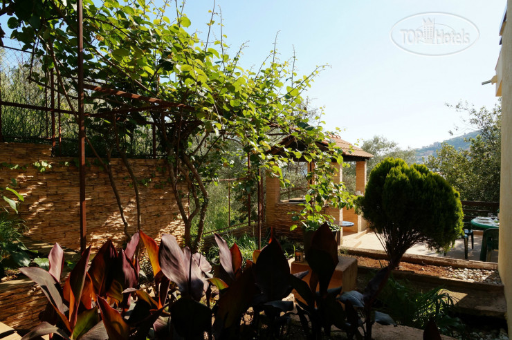 Hotel photo Villa Lilia 