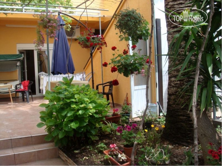 New photos from tourists Villa Predrag