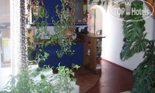 Hotel photo Villa Kulic 3*