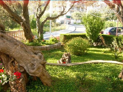 Hotel photo Petrovic Apartment 3*