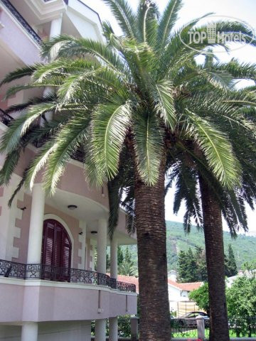 Hotelier's photos Villa Monte Royale