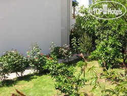 New photos from tourists Apartments Jelena