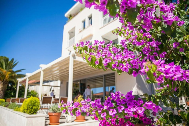 New photos from tourists Casa del Mare - Blanche 4*