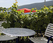 New photos from tourists Milena & Bungalows Fanfani (closed) 3*