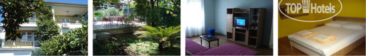 Hotel photo Borozan 3*