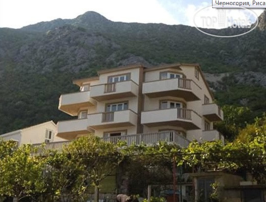 New photos from tourists Stella Di Mare Strp 3*