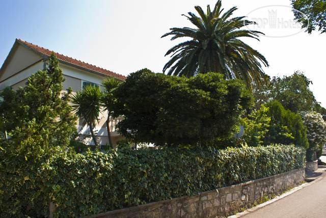 Hotel photo Apartments Dunja 