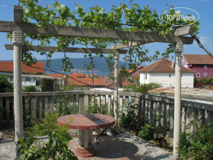Hotel photo Villa Vida 3*