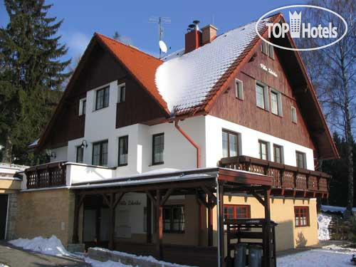 Фото Bedriska