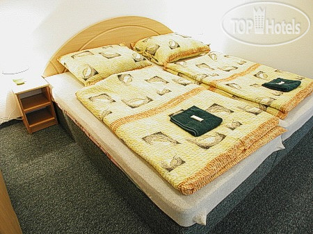 Hotel photo U Vlka Penzion  3*