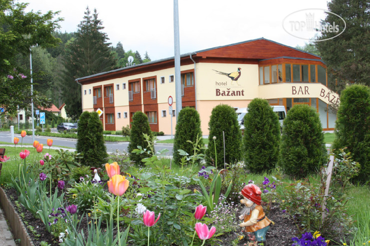 Hotelier's photos Bazant 3*